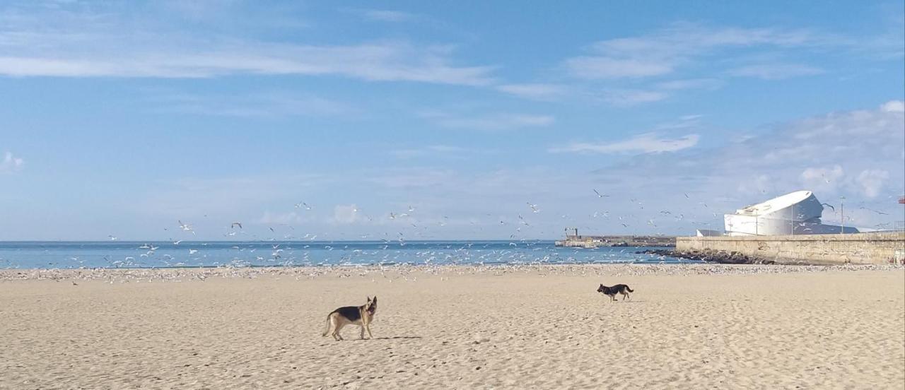 Maria Sardinha_As Tres Marias Lägenhet Matosinhos  Exteriör bild